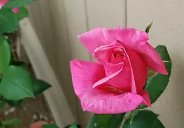 20180415 153509