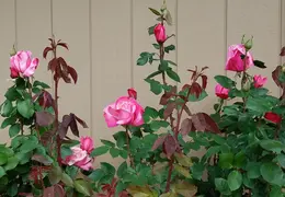 20180415 153532