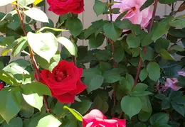 20190423 124444