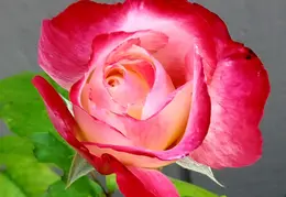 20190524 114856