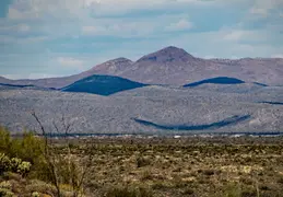 Cacti Blooming Eagles Nest 20220331 22