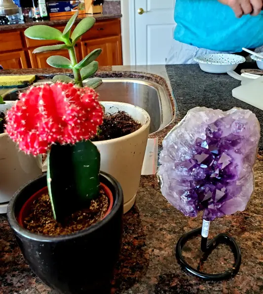 Crystal_and_Cactus.webp