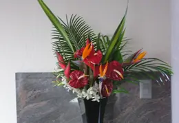 Valentines 2006