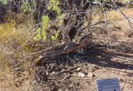 Sonoran Conservancy of Fountain Hills
