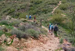 Hikes n Exercise Walks