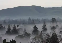 Concord CA