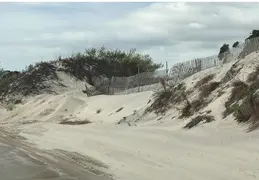 Long Island NY