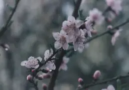 Martinez CA