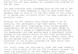 Business Area Analysis Summary 03