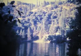 PGandE Tiger Creek 25