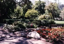 Ashland 1988