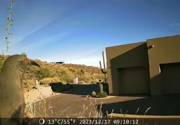Trail Cam Pic 20231216 03