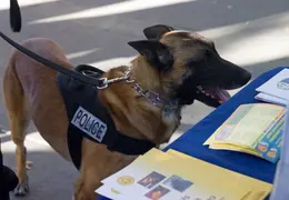 2013 08 Police Officers Association In The Park 033