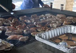 2014 04 VIPS Appreciation Picnic 013