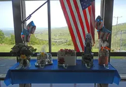 2017 04 VIPS Appreciation Picnic 06