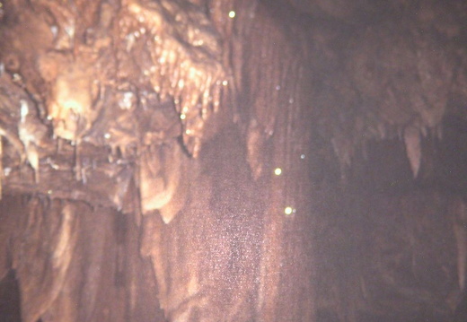 shasta cave 04