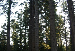Desolation_Wilderness_August_2011 - display this album Desolation_Wilderness_August_2011