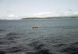 Tom Low Phillipines 1950s 17