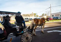 20260224_Natchez